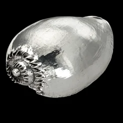 Buccellati LARGE MELO DIADEMA SHELL DECORATIVE OBJECT COATED IN SILVER