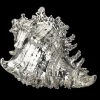 Buccellati LARGE MUREX RAMOSUS SHELL DECORATIVE OBJECT COATED IN SILVER