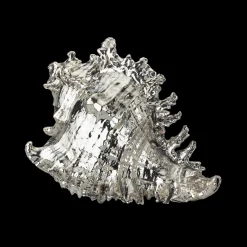 Buccellati MEDIUM MUREX RAMOSUS SHELL DECORATIVE OBJECT COATED IN SILVER