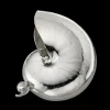 Buccellati MEDIUM NAUTILUS SHELL DECORATIVE OBJECT COATED IN SILVER