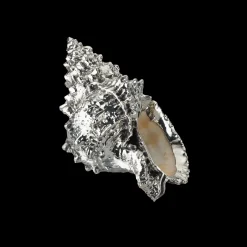 Buccellati SMALL BURSA BOBO SHELL DECORATIVE OBJECT COATED IN SILVER