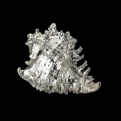 Buccellati SMALL MUREX RAMOSUS SHELL DECORATIVE OBJECT COATED IN SILVER